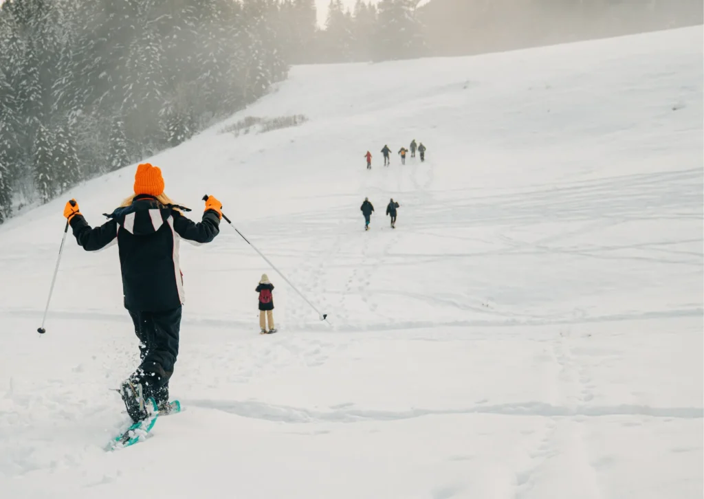 Zdjęcie przedstawia ludzi zjeżdżających ze stoku narciarskiego